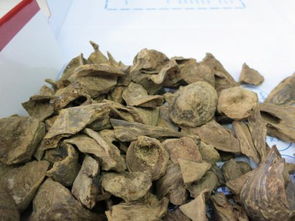 黑土的神奇魅力：适合种植的作物大盘点