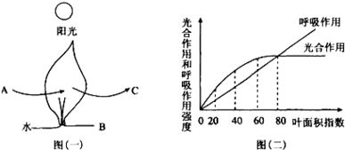 农业灌溉：掌握水循环，提升作物产量！