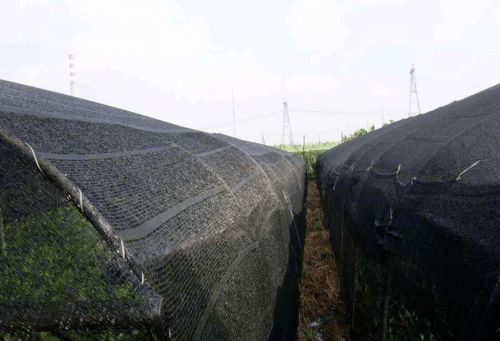 如何制定畜牧业应对暴雨洪涝灾害的防灾减灾技术方案？