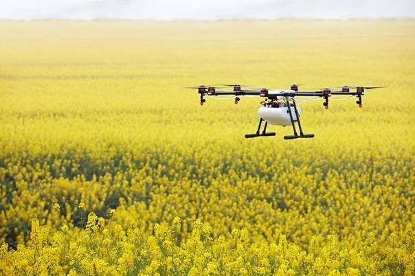 个人努力， 关键所在