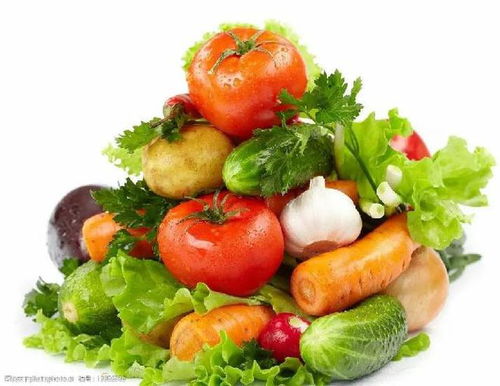 五月份种植蔬菜推荐