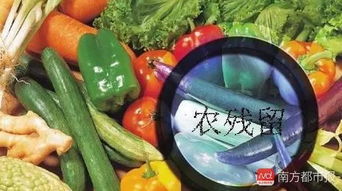 清水泡一泡， 简单又实用