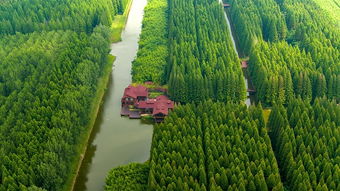 绿色税制助力公益林