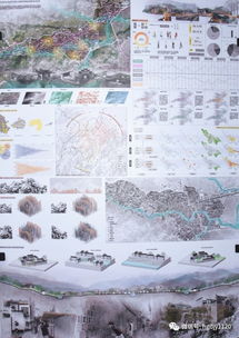 风景园林毕设选题的无限可嫩