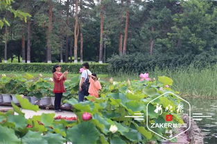 问：黑龙江适合种植什么品种？