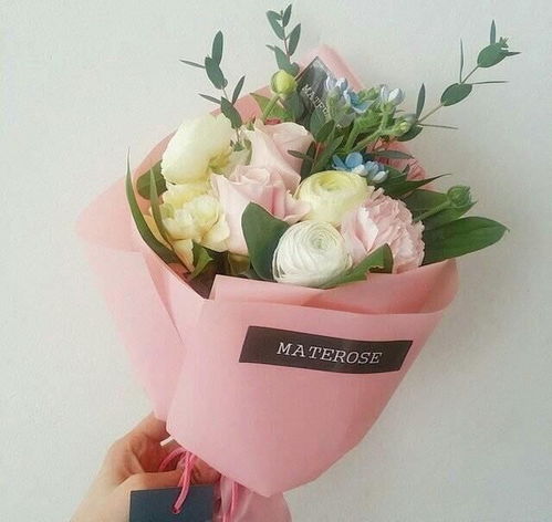 奶油龙沙宝石：黄绿色切花月季， 美得令人心动