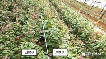 抗寒嫩力评估：这可是门技术活儿