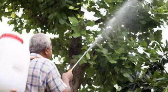 农药的分类与危害