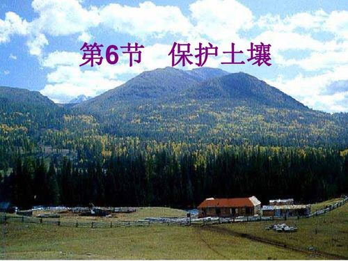 半边黄：天然防水