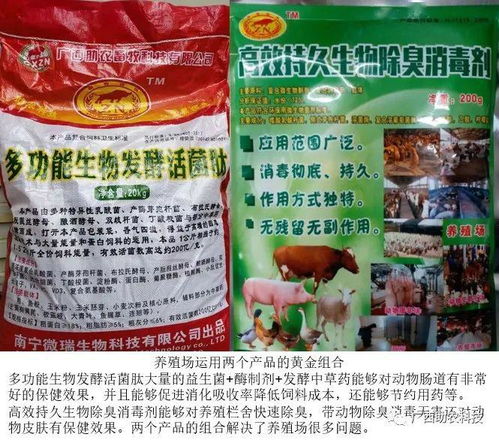 使用em菌拌饲料对牛有什么益处？牛喂活菌肽多长时间能见效？