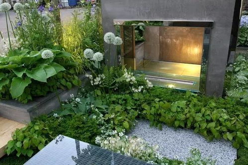 冬天庭院里的绿意盎然