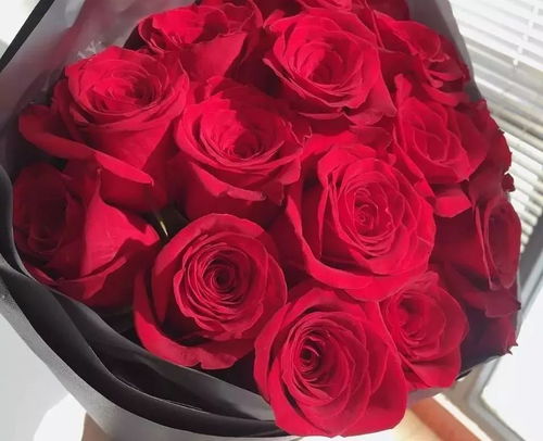 玫瑰花数量含义你懂吗？送花必看攻略