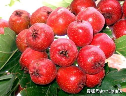 红果仔富含维生素C，真的可以放心吃吗