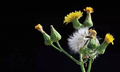 禁忌四：不要转赠他人