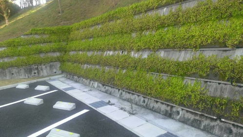 斜坡绿化面积的计算， 先得知道长度和宽度