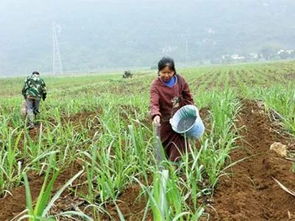 影响因素大揭秘