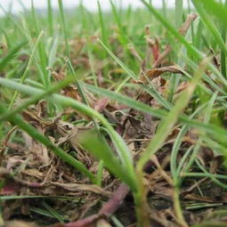 琳海马唐净， 平安又高效