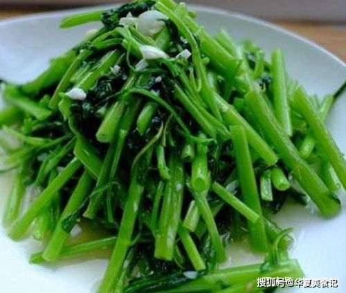 空心菜：生长迅速， 持续采摘