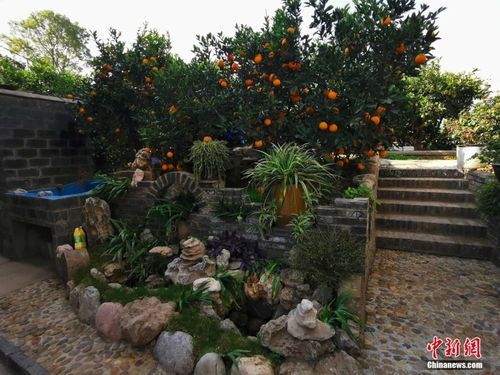 先来个漂亮的开头