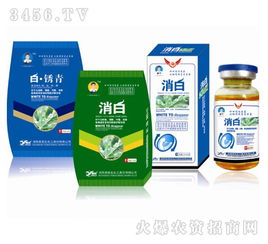 菜叶白斑困扰多，喷药却越喷越多？