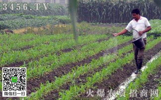 调研数据告诉你， 收成不是吹的