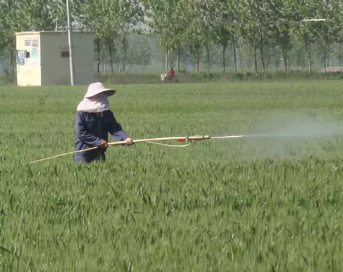 农药价格上涨，农民种植成本是否增加？