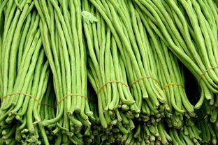 豆角开花后使用吡虫啉效果佳