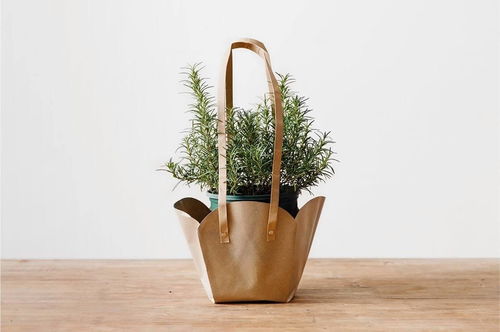 拯救枯萎花卉的步骤