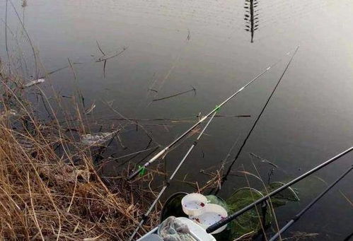 搓饵频繁更换，影响钓鱼效果