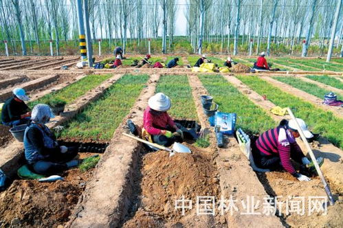 关键技术措施与配置模式