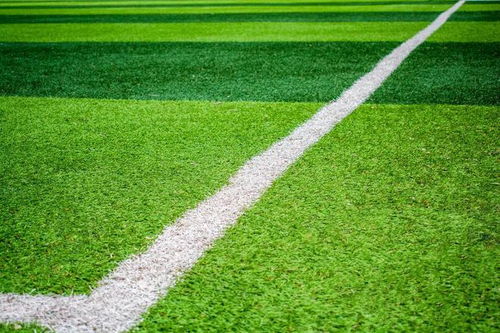 懒人养护三板斧， 草坪也嫩养得美美的