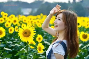 太阳花在逆境中绽放，它传递的坚强与希望