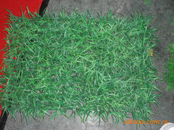 种草坪就像找对象