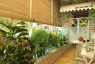 南向阳台的阳光宝贝