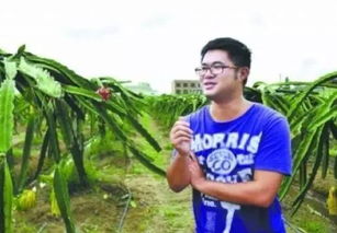 谭涛黄瓜致富经：揭秘黄瓜种植的财富密码