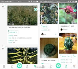 形色APP， 拍照识别花草树木