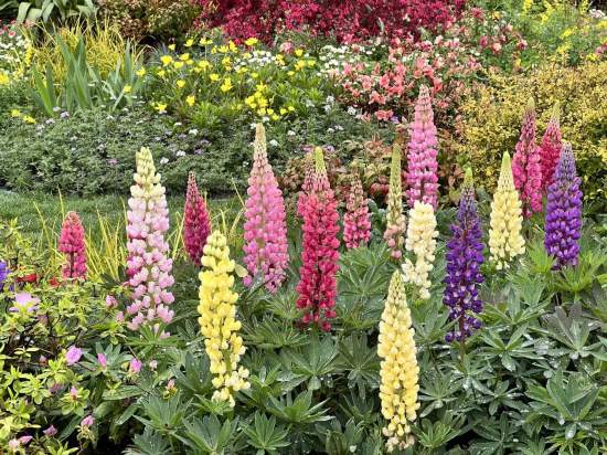 浇水，那可是门艺术