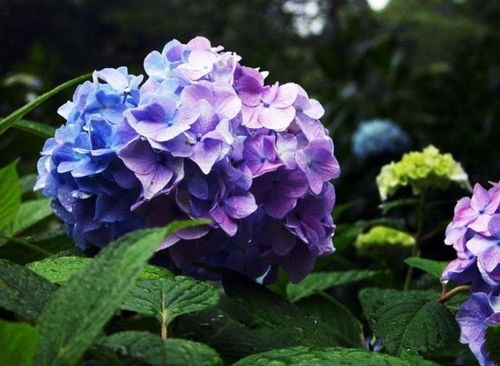 第二站：时间掌握大师