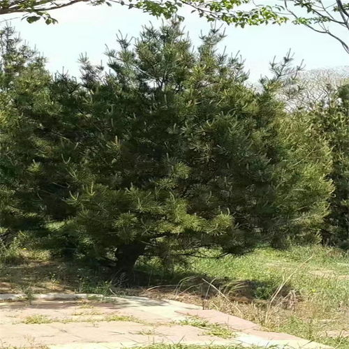 价格差异的秘密