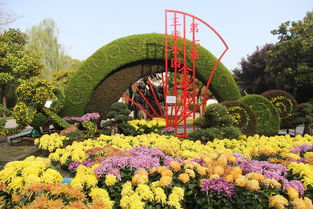 王城公园，花开满园