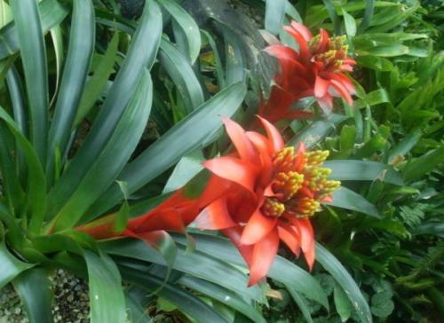 新手必踩的9个坑，你踩了吗？