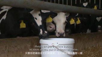 猪场粪污变废为宝，农业循环利用新途径
