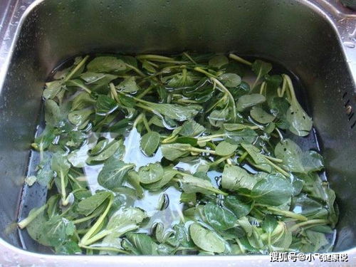青菜泡多久Neng去除农药残留？揭秘蔬菜清洗的奥秘呃！