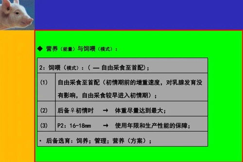 后备母猪分阶段精细化管理实操要点有哪些？