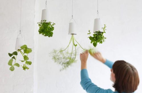 唤醒本真的感知力