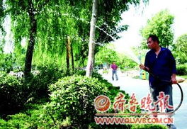 沙棘的种植技巧