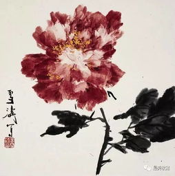 秋海棠叶的寓意与象征究竟蕴含着怎样的独特意义
