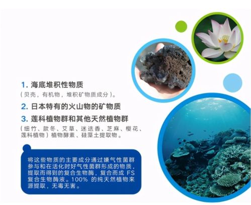 杨树上的介壳虫不用杀虫剂，有哪些环保有效的治疗方法呢？