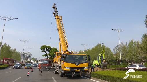 使用吊车装卸苗木
