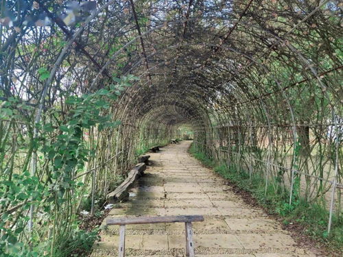 武汉江汉路树池改过方案